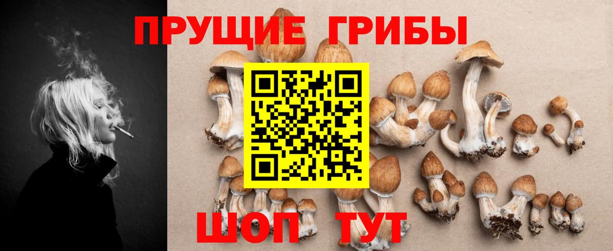 Псилоцибиновые грибы Psilocybe Малоярославец