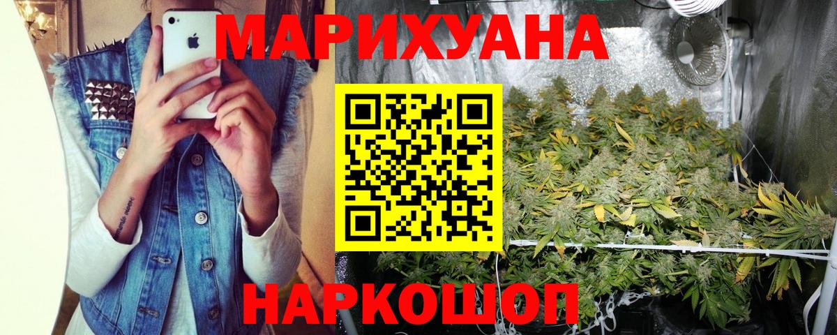 Бошки Шишки план Малоярославец